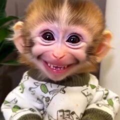 Sorry bubu, laddu,pyaaru baby,honeyy,jingu,boondi ka laddu